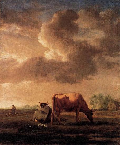 Adriaen van de Velde Cows on a Meadow Spain oil painting art